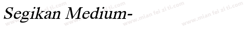 Segikan Medium字体转换